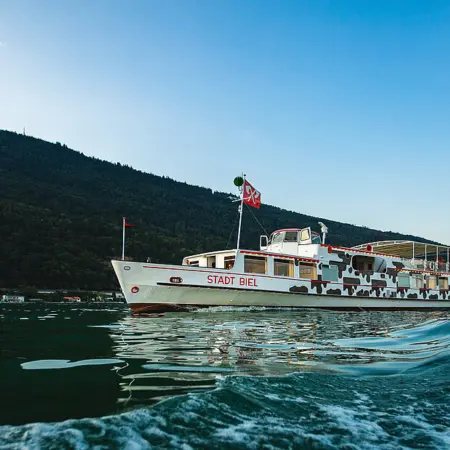 Schiff MS Stadt Biel